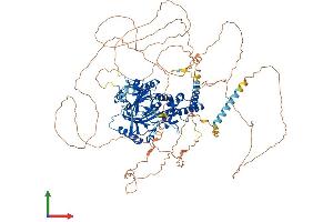 AlphaFold protein structure predicition of Mouse Recombinant Phf8 Protein, UniprotID Q80TJ7