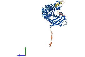 AlphaFold protein structure predicition of Mouse Recombinant Abhd12 Protein, UniprotID Q99LR1