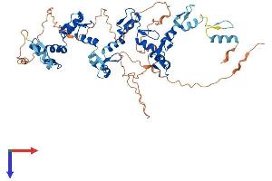 AlphaFold protein structure predicition of Human Recombinant ZNF329 Protein, UniprotID Q86UD4 (ZNF329 Protein (AA 1-541) (His tag))