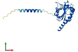 AlphaFold protein structure predicition of Human Recombinant GPX8 Protein, UniprotID Q8TED1