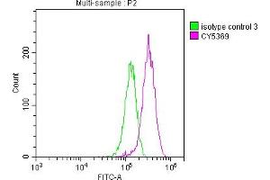 Overlay histogram showing HepG2 cells stained with ABIN7127600 (red line) at 1:50. (Recombinant LGR5 antibody)