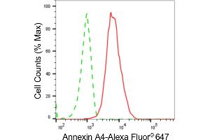 Flow cytometric analysis of Annexin A4 expression in C2C12 cells using Annexin A4 antibody (ABIN7797620), 1:2,000). (Recombinant Annexin IV antibody)