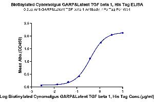 Immobilized Anti-GARP&Latent TGF beta 1 Antibody, hFc Tag at 2 μg/mL (100 μL/well) on the plate.