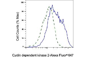 Validation of Cyclin dependent kinase 2 knockdown using flow cytometry. (Recombinant CDK2 antibody)
