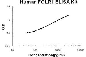 Human FOLR1 PicoKine ELISA Kit standard curve (FOLR1 ELISA Kit)