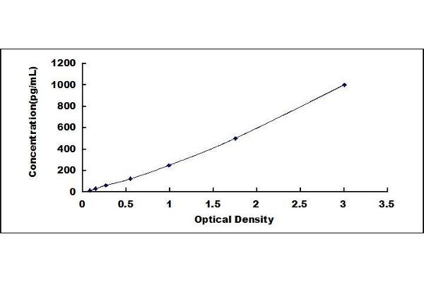 Betacellulin ELISA Kit