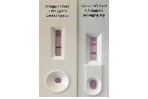 Lateral Flow Chromatographic Immunoassay (LFCIA) image for Lentivirus Titration XpressCard (ABIN2860641)