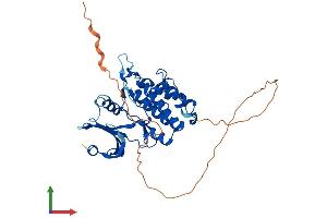 Protein Structure (PS) image for Testis-Specific serine Kinase 1B (TSSK1B) (AA 1-367) protein (His tag) (ABIN7544785)