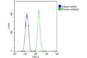 Overlay histogram showing C2C12 cells stained with (ABIN6242661 and ABIN6578874)(green line). (TUBB antibody  (AA 298-328))