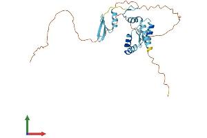AlphaFold protein structure predicition of Mouse Recombinant Ovol2 Protein, UniprotID Q8CIV7 (OVOL2 Protein (AA 1-274) (His tag))