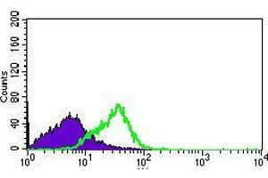 Flow cytometric analysis of HEK293 cells using DNAL4 mouse mAb (green) and negative control (purple). (DNAL4 antibody  (AA 1-105))