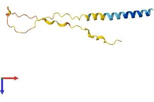 AlphaFold protein structure predicition of Human Recombinant CYSTM1 Protein, UniprotID Q9H1C7 (C5orf32 Protein (AA 1-97) (His tag))