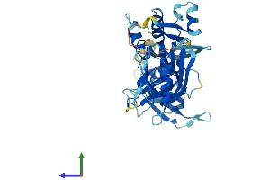 AlphaFold protein structure predicition of Mouse Recombinant Plek2 Protein, UniprotID Q9WV52