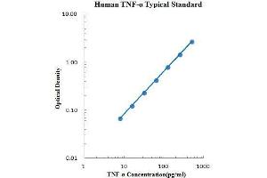 ELISA image for Tumor Necrosis Factor alpha (TNF alpha) ELISA Kit (ABIN2472126)