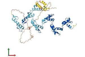 Protein Structure (PS) image for Zinc Finger Protein 846 (ZNF846) (AA 1-533) protein (His tag) (ABIN7545504)