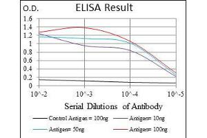 ELISA image for anti-PDZ Binding Kinase (PBK) antibody (ABIN969345)