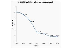 Antigen: Clostridium perfringens type D, 2 µg/100 µL  Primary: Antiserum, 1:500, 1:1000, 1:2000, 1:4000, 1:8000, 1:16000, 1:32000;  Secondary: HRP conjugated Goat Anti-Rabbit IgG at 1: 5000;  TMB staining; Read the data in MicroplateReader by 450nm (Clostridium Perfringens Type D antibody)