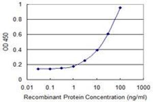 Detection limit for recombinant GST tagged PPP2R3B is 0. (PPP2R3B antibody  (AA 1-225))