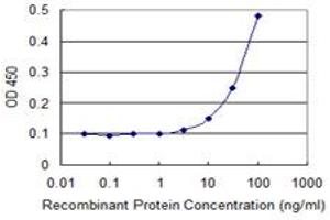 Detection limit for recombinant GST tagged EPHB2 is 3 ng/ml as a capture antibody. (EPH Receptor B2 antibody  (AA 226-325))
