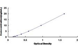 Typical standard curve (CRHR2 ELISA Kit)