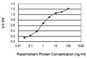 Detection limit for recombinant GST tagged SLC35B2 is 0. (SLC35B2 antibody  (AA 1-100))