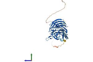 Protein Structure (PS) image for Ribosomal RNA Processing 9, Small Subunit (SSU) Processome Component, Homolog (RRP9) (AA 1-475) protein (His tag) (ABIN7544943)