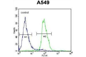 anti-DDB1 and CUL4 Associated Factor 10 (DCAF10) (AA 118-148), (N-Term) antibody
