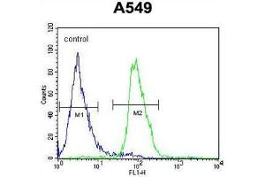 WDR32 Antibody (N-term) flow cytometric analysis of A549 cells (right histogram) compared to a negative control cell (left histogram). (DCAF10 antibody  (N-Term))