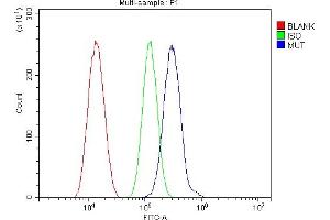 Flow Cytometry analysis of SiHa cells using anti-MUT antibody (ABIN4886676). (MUT antibody  (N-Term))