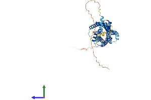 AlphaFold protein structure predicition of Human Recombinant GPR182 Protein, UniprotID O15218