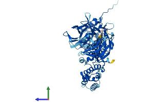 AlphaFold protein structure predicition of Human Recombinant CCIN Protein, UniprotID Q13939 (Calicin Protein (CCIN) (AA 1-588) (His tag))