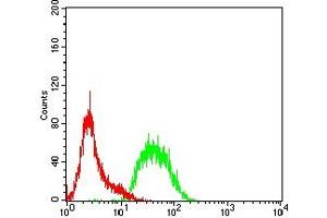 CD57 antibody  (AA 28-334)