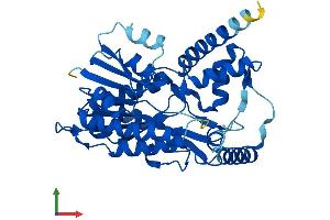 AlphaFold protein structure predicition of Mouse Recombinant Hsd3b4 Protein, UniprotID Q61767 (Hydroxy-delta-5-Steroid Dehydrogenase, 3 beta and Steroid delta-Isomerase 4 (HSD3B4) (AA 1-373) protein (His tag))