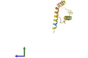AlphaFold protein structure predicition of Human Recombinant RFPL3S Protein, UniprotID P0C7P2 (RFPL3 Antisense Protein (RFPL3S) (AA 1-107) (His tag))