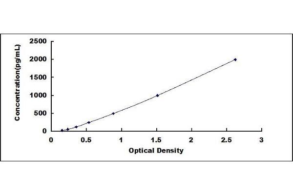 Arrestin 3 ELISA Kit