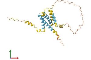 AlphaFold protein structure predicition of Human Recombinant CMTM5 Protein, UniprotID Q96DZ9 (CMTM5 Protein (AA 1-223) (His tag))
