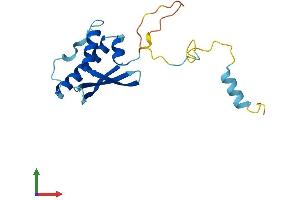 Protein Structure (PS) image for Sorting Nexin 24 (SNX24) (AA 1-169) protein (His tag) (ABIN7560630)