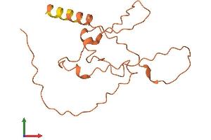 AlphaFold protein structure predicition of Human Recombinant LINC01565 Protein, UniprotID O15544 (C3orf27 Protein (AA 1-149) (His tag))