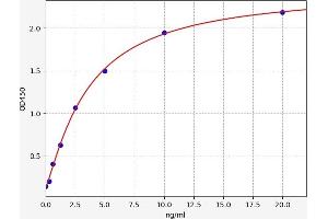 Typical standard curve (SMAD4 ELISA Kit)