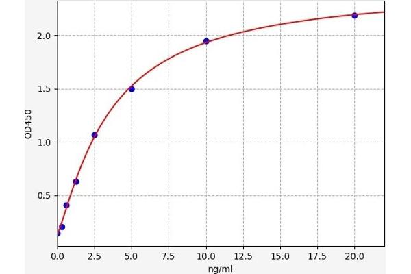 SMAD4 ELISA Kit