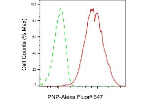 Flow cytometric analysis of PNP expression in HepG2 cells using PNP antibody (ABIN7800066), 1:2,000).