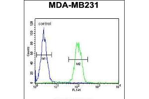 Flow cytometric analysis of MDA-MB231 cells (right histogram) compared to a negative control cell (left histogram). (PHD1 antibody  (AA 194-221))