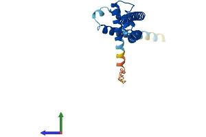 AlphaFold protein structure predicition of Human Recombinant DGCR6L Protein, UniprotID Q9BY27