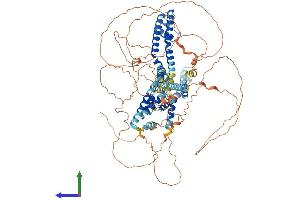 AlphaFold protein structure predicition of Human Recombinant KCNQ2 Protein, UniprotID O43526