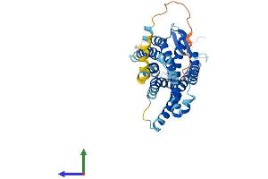 AlphaFold protein structure predicition of Human Recombinant FPR3 Protein, UniprotID P25089 (FPR3 Protein (AA 1-353) (His tag))