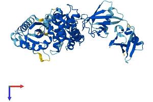 AlphaFold protein structure predicition of Mouse Recombinant Oasl2 Protein, UniprotID Q9Z2F2 (OASL2 Protein (AA 1-508) (His tag))