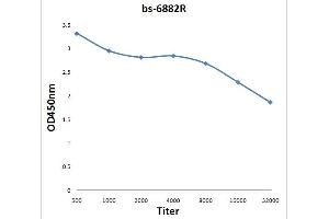 Antigen: 0. (BRF2 antibody  (AA 151-250))