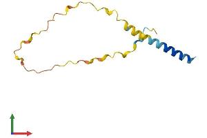 AlphaFold protein structure predicition of Mouse Recombinant Cystm1 Protein, UniprotID Q8K353 (C5orf32 Protein (AA 1-104) (His tag))