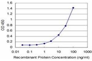 Detection limit for recombinant GST tagged AKT3 is approximately 0. (AKT3 antibody  (AA 100-189))