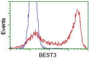 Flow Cytometry (FACS) image for anti-Bestrophin 3 (BEST3) antibody (ABIN1501730)